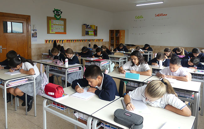 primària