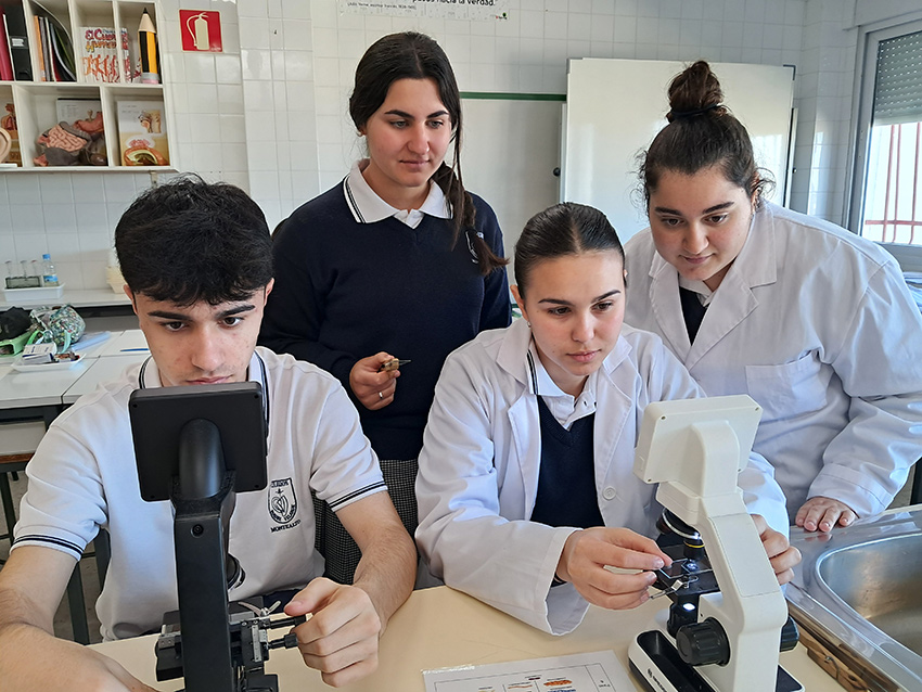 ciclos formativos