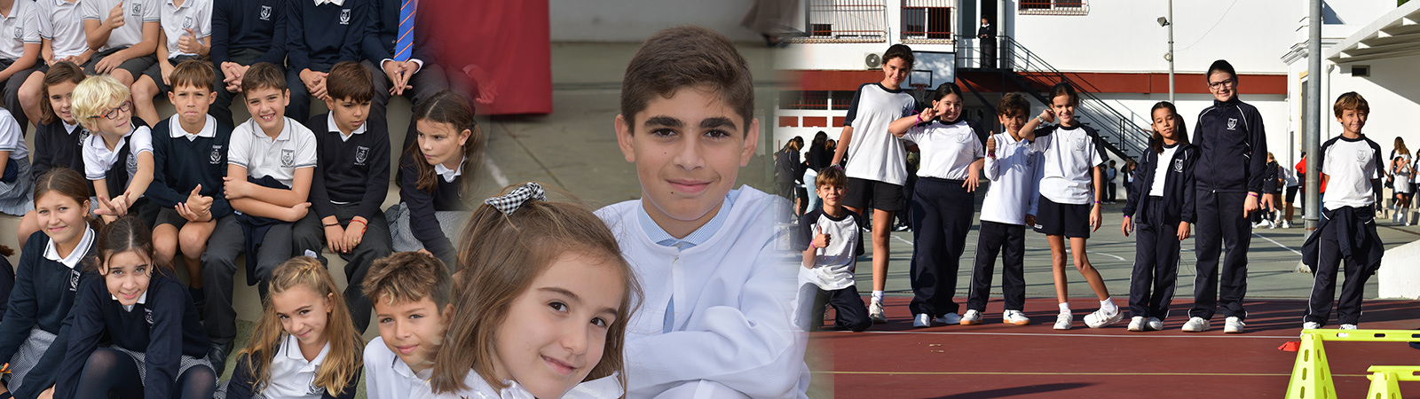 primaria