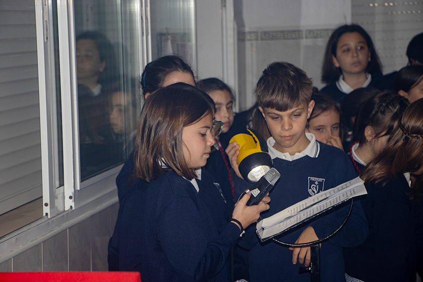 primaria