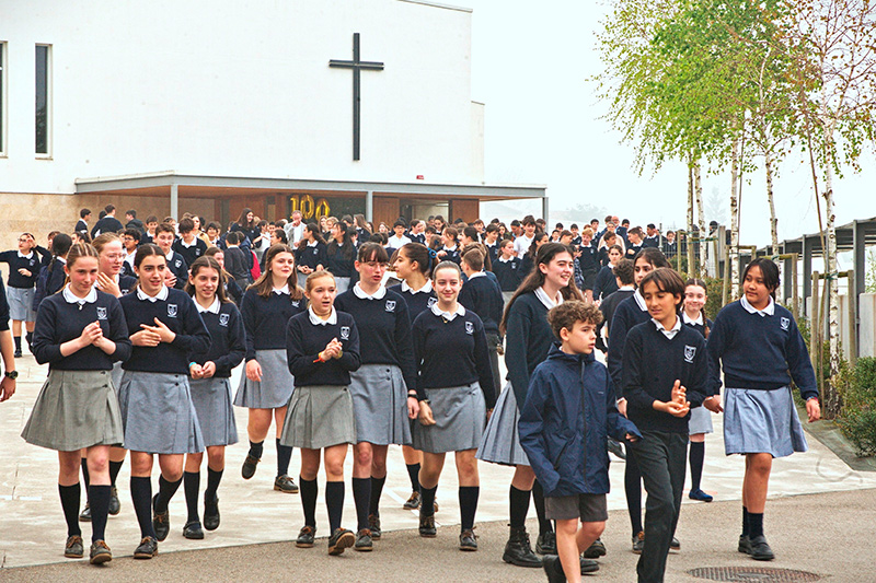 familia Torreánaz
